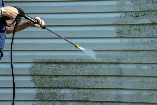Best Solar Panel Cleaning  in Apollo Beach, FL